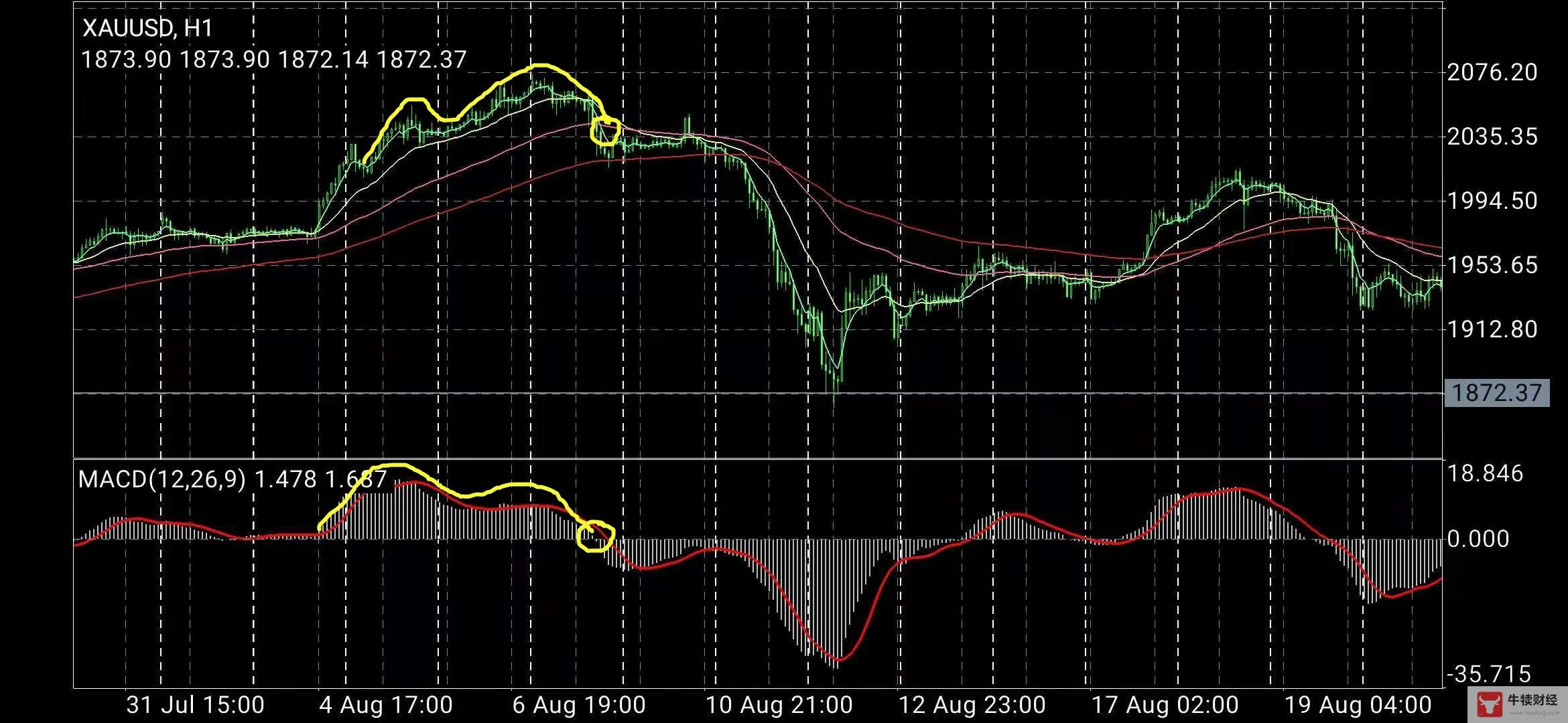 Macro巨汇：MACD指标背离后，用什么依据去找进场点?