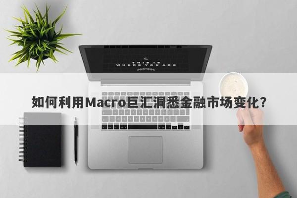 如何利用Macro巨汇洞悉金融市场变化？