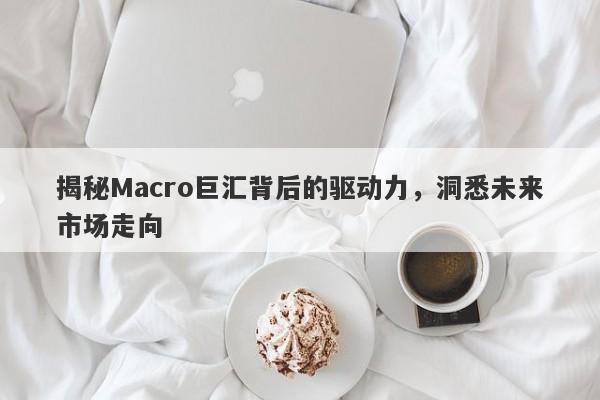 揭秘Macro巨汇背后的驱动力，洞悉未来市场走向