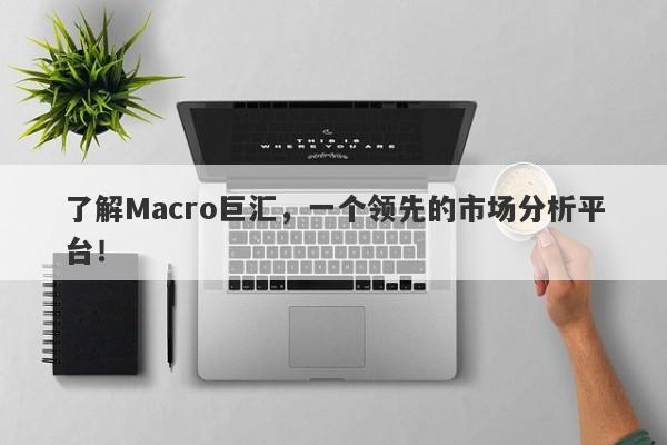 了解Macro巨汇，一个领先的市场分析平台！