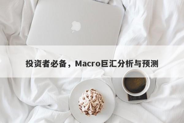 投资者必备，Macro巨汇分析与预测