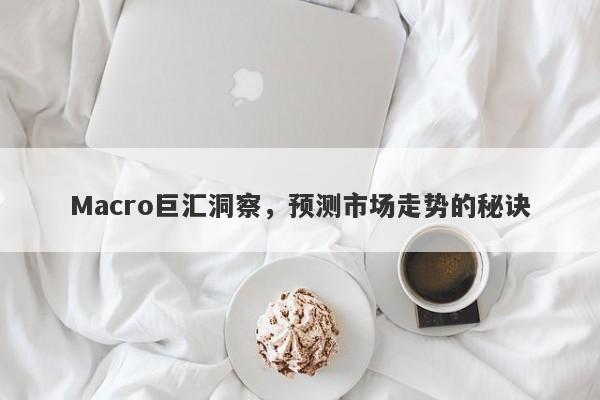 Macro巨汇洞察，预测市场走势的秘诀