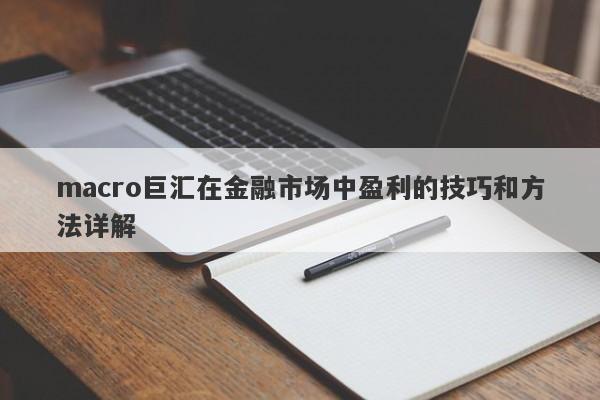 macro巨汇在金融市场中盈利的技巧和方法详解