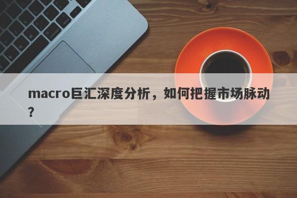 macro巨汇深度分析，如何把握市场脉动？