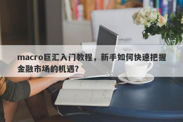 macro巨汇入门教程，新手如何快速把握金融市场的机遇？