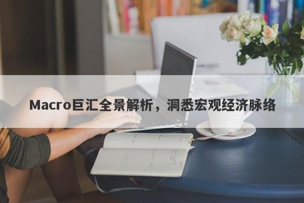 Macro巨汇全景解析，洞悉宏观经济脉络