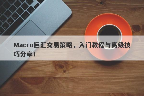 Macro巨汇交易策略，入门教程与高级技巧分享！