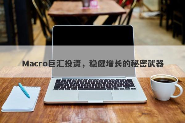 Macro巨汇投资，稳健增长的秘密武器