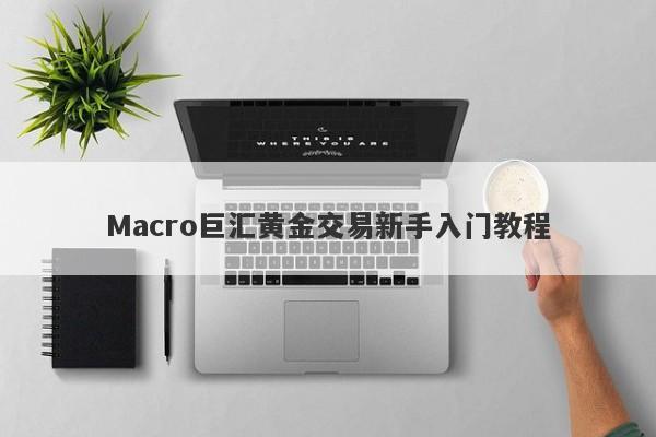 Macro巨汇黄金交易新手入门教程