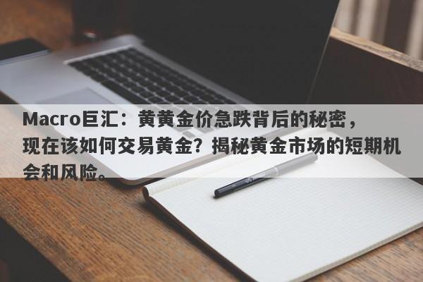 Macro巨汇：黄黄金价急跌背后的秘密，现在该如何交易黄金？揭秘黄金市场的短期机会和风险。