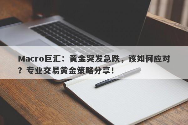 Macro巨汇：黄金突发急跌，该如何应对？专业交易黄金策略分享！