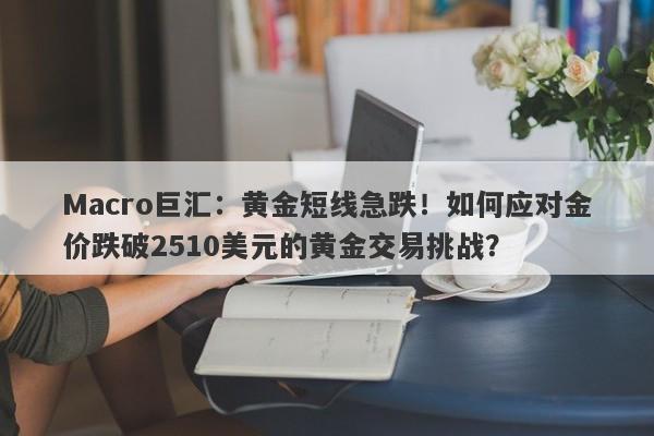 Macro巨汇：黄金短线急跌！如何应对金价跌破2510美元的黄金交易挑战？