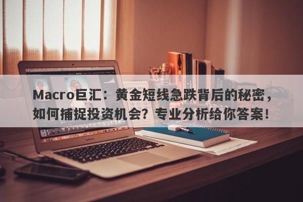 Macro巨汇：黄金短线急跌背后的秘密，如何捕捉投资机会？专业分析给你答案！