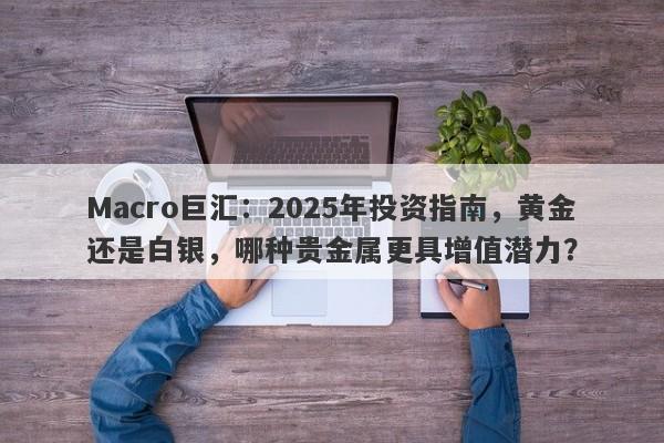 Macro巨汇：2025年投资指南，黄金还是白银，哪种贵金属更具增值潜力？