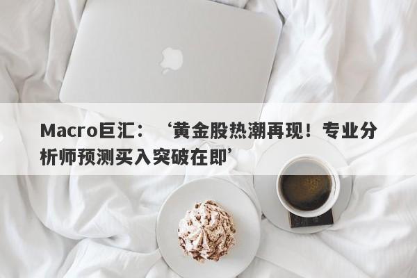 Macro巨汇：‘黄金股热潮再现！专业分析师预测买入突破在即’