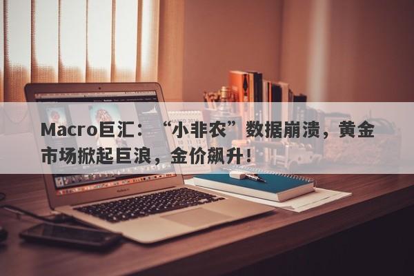 Macro巨汇：“小非农”数据崩溃，黄金市场掀起巨浪，金价飙升！