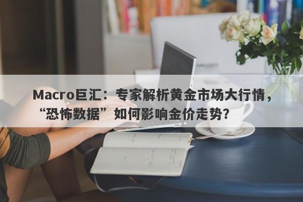 Macro巨汇：专家解析黄金市场大行情，“恐怖数据”如何影响金价走势？