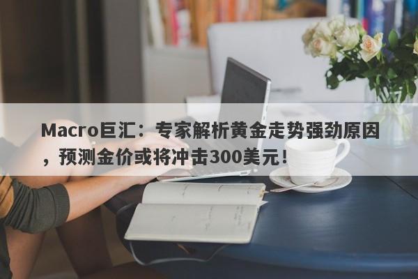 Macro巨汇：专家解析黄金走势强劲原因，预测金价或将冲击300美元！